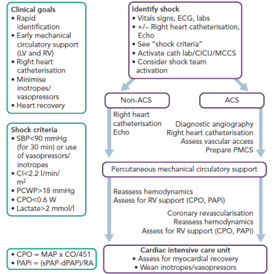Figure 2 INOVA Cardiogenic Shock Diagnosis Team Activation and Treatment Algorithm/Protocol
