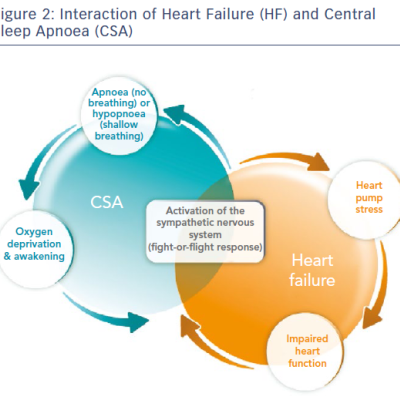 Figure 2 Interaction of Heart Failure HF and Central Sleep Apnoea CSA