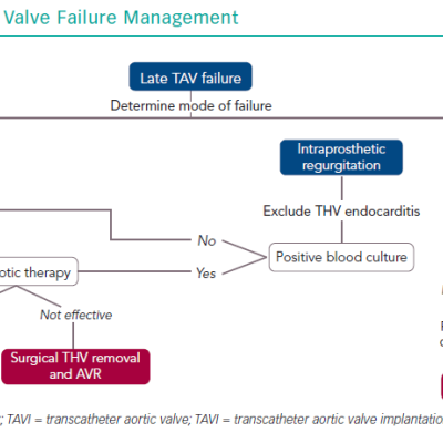 Late Transcatheter Aortic Valve Failure Management