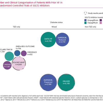 Number and Clinical Categorisation of Patients