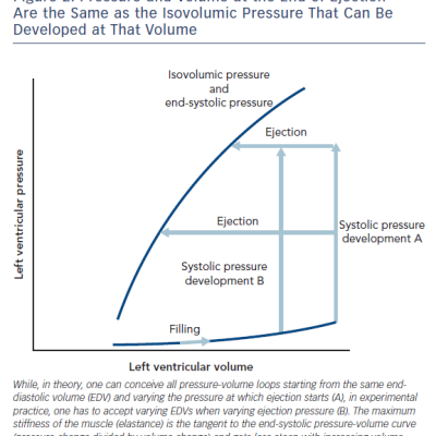 Figure 2 Pressure and Volume at the End of Ejection Are the Same as the Isovolumic Pressure That Can Be Developed at That Volume