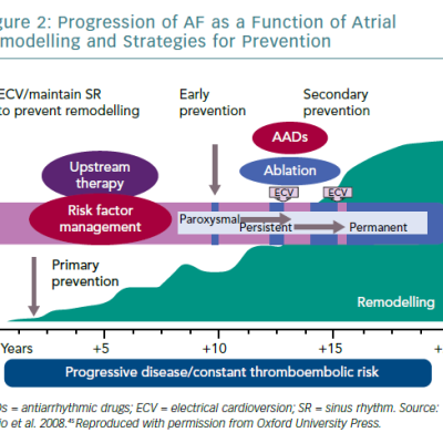 Progression of AF as a Function of Atrial Remodelling and Strategies for Prevention