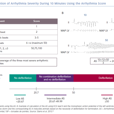 Quantification of Arrhythmia Severity During 10 Minutes Using the Arrhythmia Score