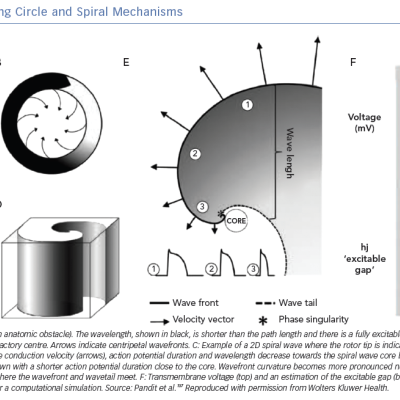 Re-entry Leading Circle and Spiral Mechanisms