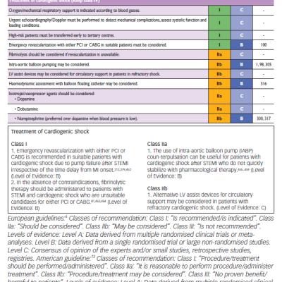 figure 2-recommendations-of-the-european