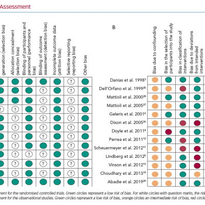 Risk of Bias Assessment