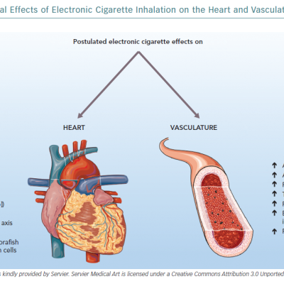 The Physiological Effects of Electronic Cigarette Inhalation on the Heart and Vasculature