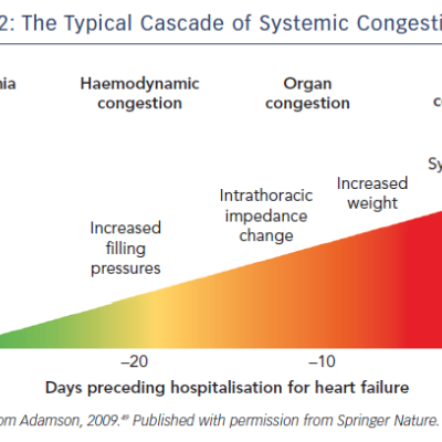 Figure 2 The Typical Cascade of Systemic Congestion