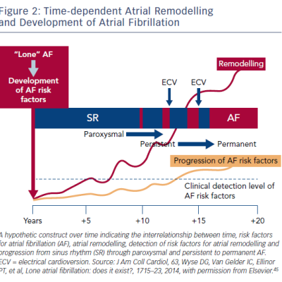 figure 2-time-dependent-atrial-remodelling