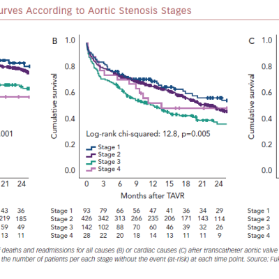 Unadjusted Survival Curves According to Aortic Stenosis Stages