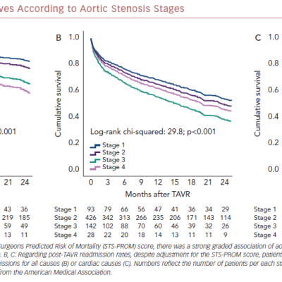 Adjusted Survival Curves According to Aortic Stenosis Stages
