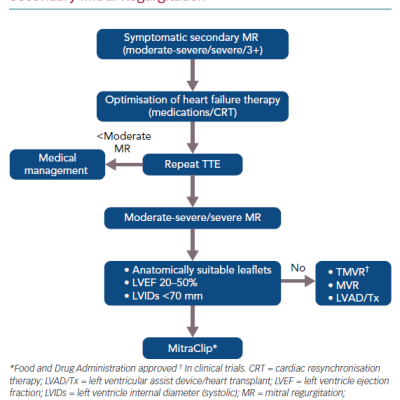 Contemporary Management of Secondary Mitral Regurgitation