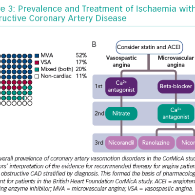 Prevalence and Treatment of Ischaemia