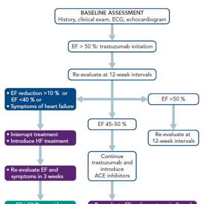 Figure 3 Proposed Follow-up Algorithm for Patients Receiving Trastuzumab