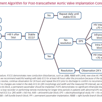 Proposed Management Algorithm