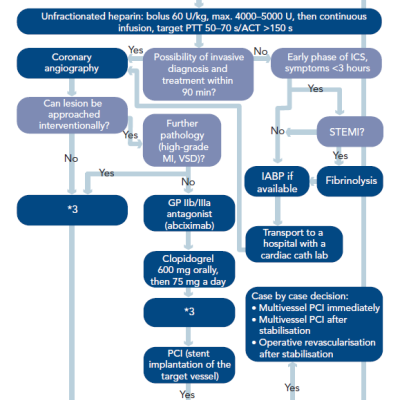 Algorithm – Revascularisation in Patients with Cardiogenic Shock Complicating Acute Myocardial Infarction