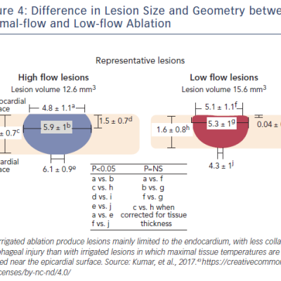 Figure 4 Difference in Lesion Size and Geometry between Normal-flow and Low-flow Ablation