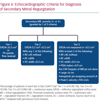 Echocardiographic Criteria for Diagnosis of Secondary Mitral Regurgitation