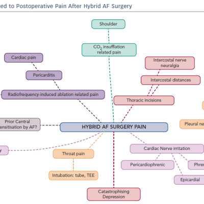 Postoperative Pain after Hybrid AF Surgery