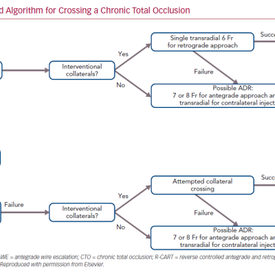 Minimalistic Hybrid Algorithm for Crossing a Chronic Total Occlusion