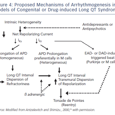 Arrhythmogenesis in Models of Congenital or Drug-inclued Long QT Syndrome