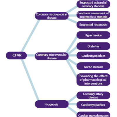 Schematic Drawing of CFVR Main Clinical Applications