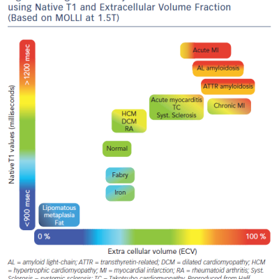 Figure 7 Diagnostic Utility of Tissue Characterisation using Native T1 and Extracellular Volume Fraction Based on MOLLI at 1.5T