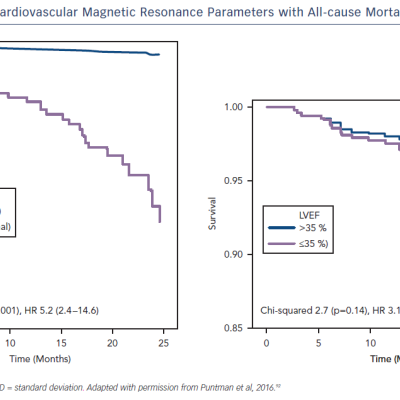 Figure 9 Association of Cardiovascular Magnetic Resonance Parameters with All-cause Mortality