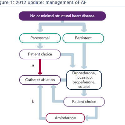Figure 1 2012 update management of AF