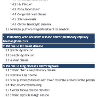 The Current Classification of Pulmonary Hypertension as per the European Respiratory and Cardiology Society Guidelines 2009 Divided into Five Separate Groups