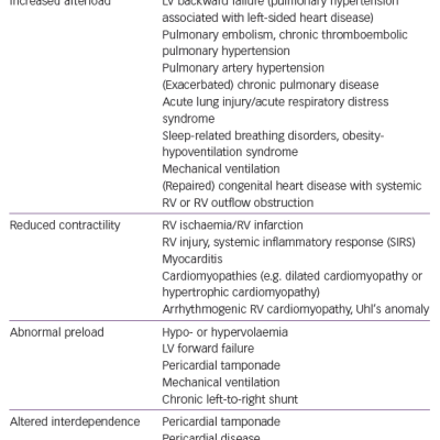 Mechanisms and Causes of Right Ventricular Failure