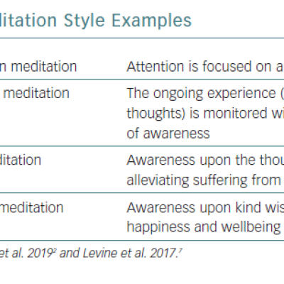 Meditation Style Examples