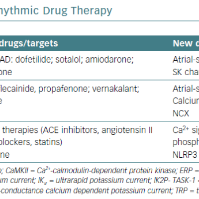 Old and New Targets for Antiarrhythmic Drug Therapy