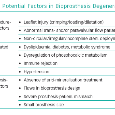 Potential Factors in Bioprosthesis Degeneration