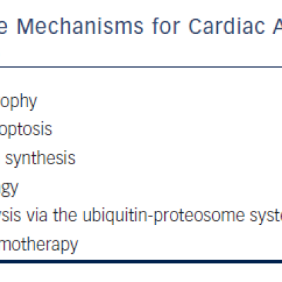 Table 1 Putative Mechanisms for Cardiac Atrophy in Cancer Patients