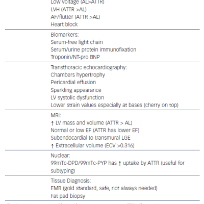 Summary of Differences Between AL and ATTR CA Their Diagnosis and Treatment