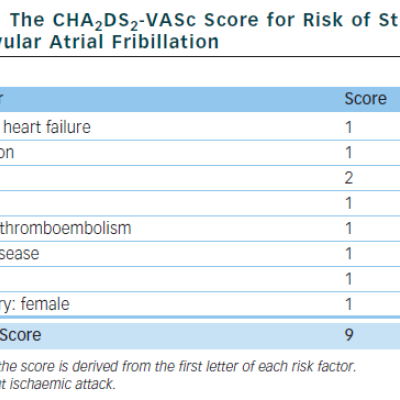 The CHA2DS2-VASc Score