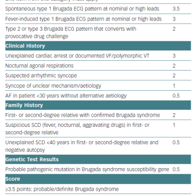 Table 1 The Proposed Shanghai Score System for Diagnosis of Brugada Syndrome