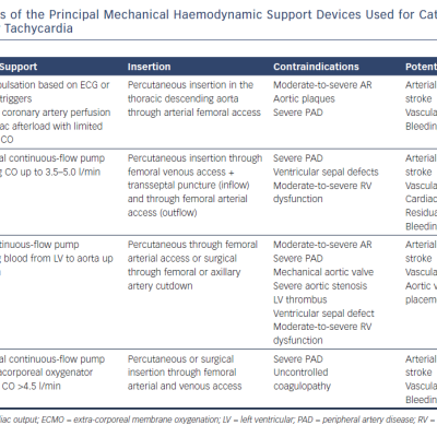 Characteristics of the Principal Mechanical Haemodynamic Support Devices Used for Catheter Ablation of Ventricular Tachycardia