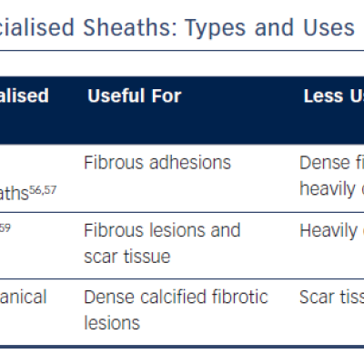 Specialised Sheaths - Types and Uses