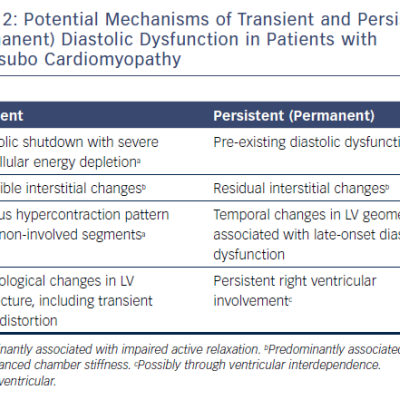 Table 2 Potential Mechanisms of Transient and Persistent Permanent Diastolic Dysfunction in Patients with Takotsubo Cardiomyopathy