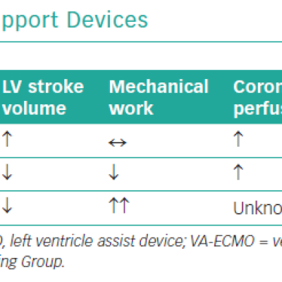 Features of Mechanical Circulatory Support Devices