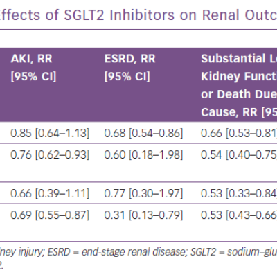 Effects of SGLT2 Inhibitors on Renal Outcomes