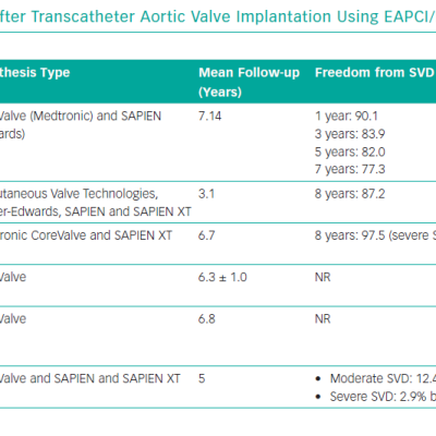 Long-term Durability After Transcatheter Aortic Valve Implantation