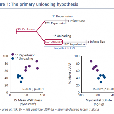 The primary unloading hypothesis