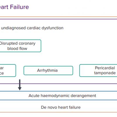 Mechanism of De Novo Heart Failure