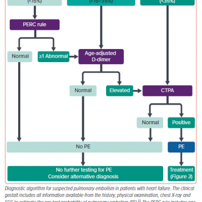 Diagnostic Algorithm