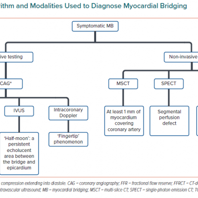 Diagnostic Algorithm and Modalities Used to Diagnose Myocardial Bridging