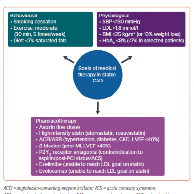 Goals of Medical Therapy in the ISCHEMIA Trial