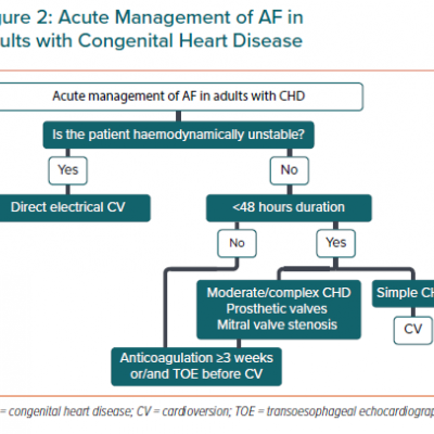 Acute Management of AF in Adults with Congenital Heart Disease